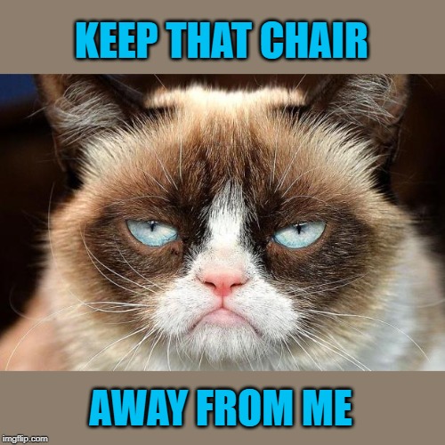 Grumpy Cat Not Amused Meme | KEEP THAT CHAIR AWAY FROM ME | image tagged in memes,grumpy cat not amused,grumpy cat | made w/ Imgflip meme maker