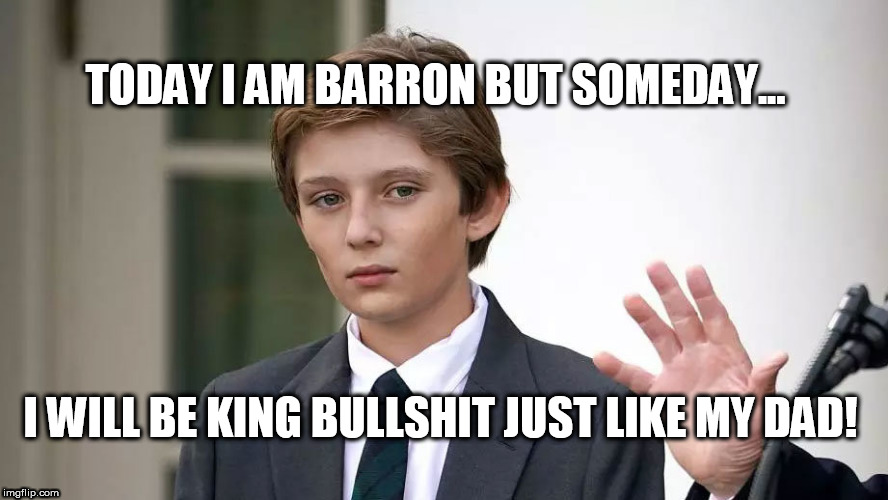 Heir to the king of bullshit! Barron Trump | TODAY I AM BARRON BUT SOMEDAY... I WILL BE KING BULLSHIT JUST LIKE MY DAD! | image tagged in barron trump,donald trump,melania trump,impeach trump | made w/ Imgflip meme maker