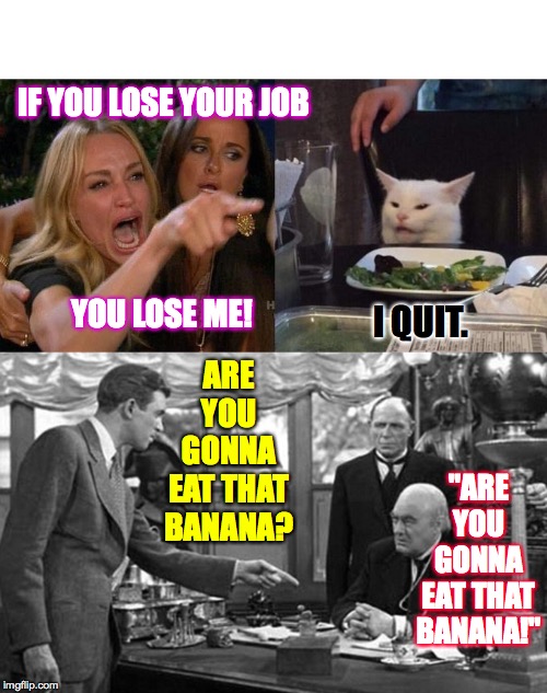Material girls  ( : | IF YOU LOSE YOUR JOB "ARE YOU GONNA EAT THAT BANANA!" YOU LOSE ME! I QUIT. ARE YOU GONNA EAT THAT BANANA? | image tagged in its a wonderful life p,memes,woman yelling at cat,material girls | made w/ Imgflip meme maker