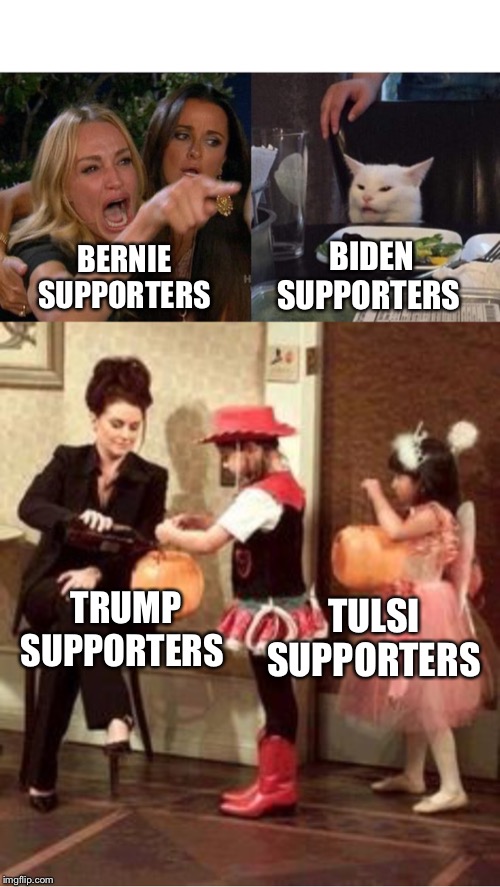 BIDEN SUPPORTERS; BERNIE SUPPORTERS; TRUMP SUPPORTERS; TULSI SUPPORTERS | image tagged in memes,woman yelling at cat | made w/ Imgflip meme maker