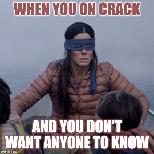 Bird Box Meme | WHEN YOU ON CRACK; AND YOU DON'T WANT ANYONE TO KNOW | image tagged in memes,bird box | made w/ Imgflip meme maker