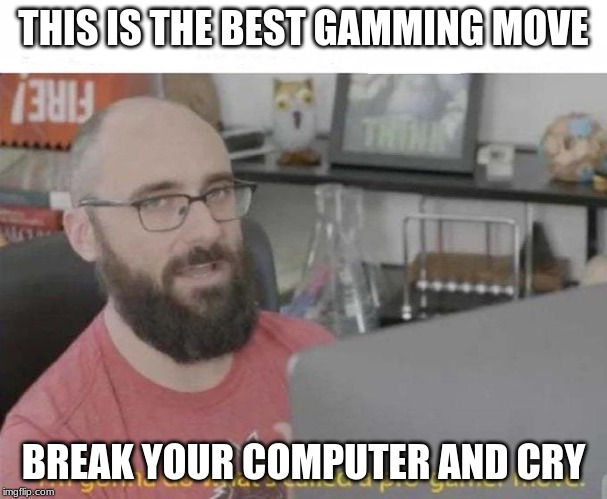 Pro Gamer move | THIS IS THE BEST GAMMING MOVE; BREAK YOUR COMPUTER AND CRY | image tagged in pro gamer move | made w/ Imgflip meme maker