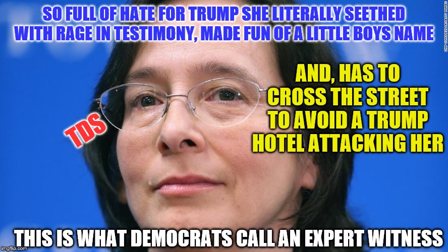 TDS on overdrive | SO FULL OF HATE FOR TRUMP SHE LITERALLY SEETHED WITH RAGE IN TESTIMONY, MADE FUN OF A LITTLE BOYS NAME; AND, HAS TO CROSS THE STREET TO AVOID A TRUMP HOTEL ATTACKING HER; TDS; THIS IS WHAT DEMOCRATS CALL AN EXPERT WITNESS | image tagged in memes,political memes | made w/ Imgflip meme maker