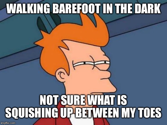 Futurama Fry | WALKING BAREFOOT IN THE DARK; NOT SURE WHAT IS SQUISHING UP BETWEEN MY TOES | image tagged in memes,futurama fry | made w/ Imgflip meme maker