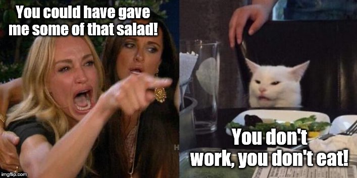 Woman Screaming at Cat | You could have gave me some of that salad! You don't work, you don't eat! | image tagged in woman screaming at cat | made w/ Imgflip meme maker
