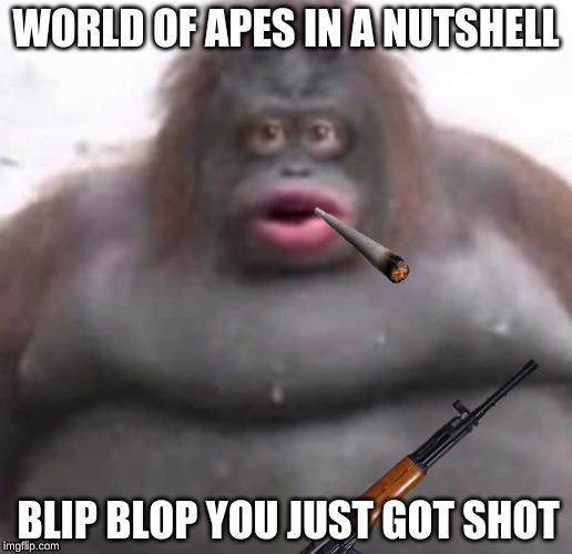 world of apes in a nutshell | WORLD OF APES IN A NUTSHELL; BLIP BLOP YOU JUST GOT SHOT | image tagged in monkey | made w/ Imgflip meme maker