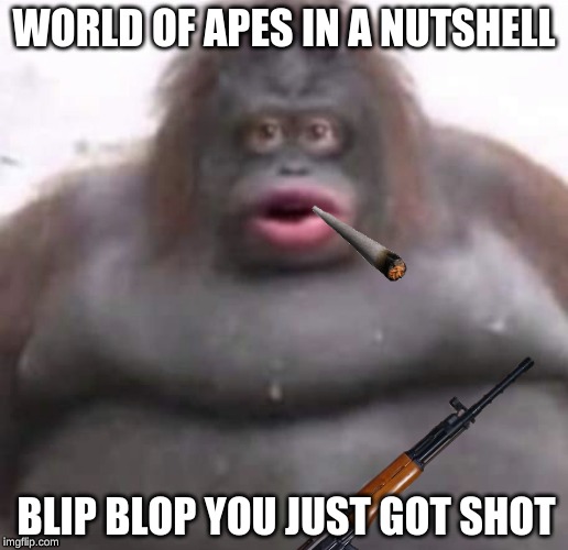 two monkeys Memes & GIFs - Imgflip