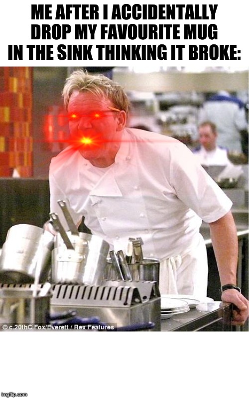 Chef Gordon Ramsay | ME AFTER I ACCIDENTALLY DROP MY FAVOURITE MUG IN THE SINK THINKING IT BROKE: | image tagged in memes,chef gordon ramsay | made w/ Imgflip meme maker