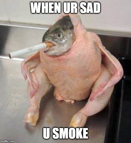 WHEN UR SAD; U SMOKE | image tagged in elon musk smoking a joint | made w/ Imgflip meme maker
