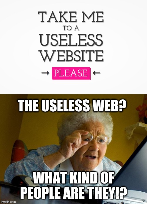THE USELESS WEB? WHAT KIND OF PEOPLE ARE THEY!? | image tagged in memes,grandma finds the internet | made w/ Imgflip meme maker