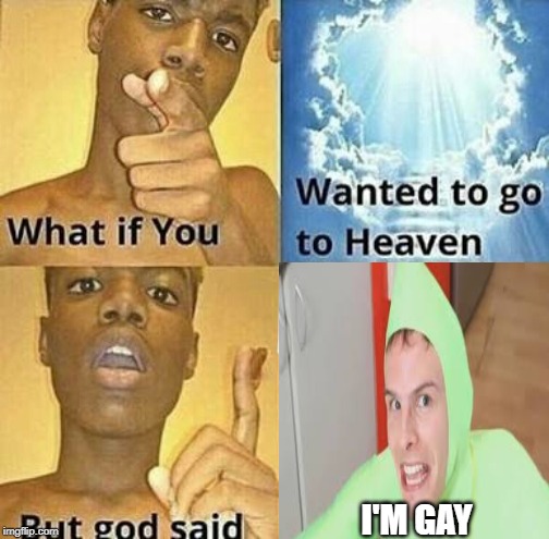 What if you wanted to go to Heaven | I'M GAY | image tagged in what if you wanted to go to heaven | made w/ Imgflip meme maker