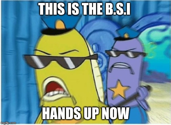 Spongebob Police | THIS IS THE B.S.I; HANDS UP NOW | image tagged in spongebob police | made w/ Imgflip meme maker