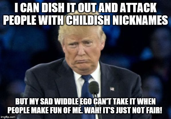 Sad Donald Trump | I CAN DISH IT OUT AND ATTACK PEOPLE WITH CHILDISH NICKNAMES; BUT MY SAD WIDDLE EGO CAN'T TAKE IT WHEN PEOPLE MAKE FUN OF ME. WAH! IT'S JUST NOT FAIR! | image tagged in sad donald trump | made w/ Imgflip meme maker