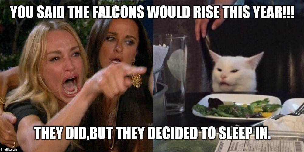 Woman yelling at cat | YOU SAID THE FALCONS WOULD RISE THIS YEAR!!! THEY DID,BUT THEY DECIDED TO SLEEP IN. | image tagged in woman yelling at cat | made w/ Imgflip meme maker