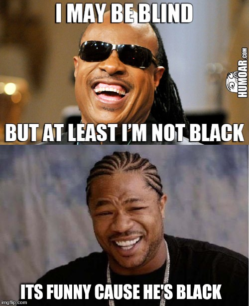 ITS FUNNY CAUSE HE'S BLACK | image tagged in memes,yo dawg heard you | made w/ Imgflip meme maker