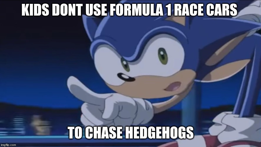 Kids, Don't - Sonic X | KIDS DONT USE FORMULA 1 RACE CARS; TO CHASE HEDGEHOGS | image tagged in kids don't - sonic x | made w/ Imgflip meme maker