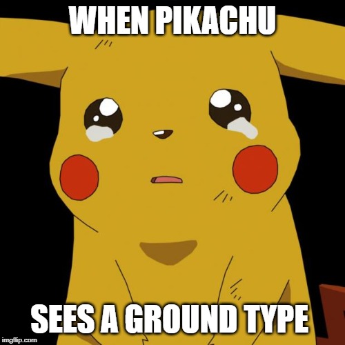 Pikachu crying | WHEN PIKACHU; SEES A GROUND TYPE | image tagged in pikachu crying | made w/ Imgflip meme maker