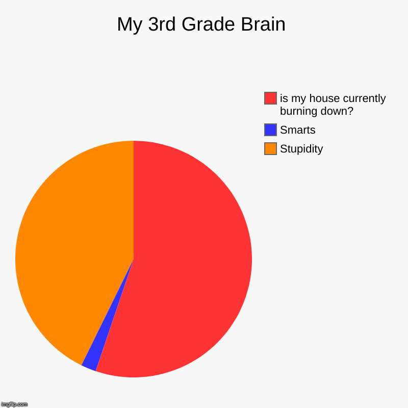 My 3rd Grade Brain | Stupidity, Smarts, is my house currently burning down? | image tagged in charts,pie charts | made w/ Imgflip chart maker