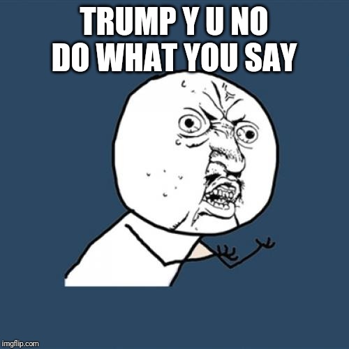 Y U No Meme | TRUMP Y U NO DO WHAT YOU SAY | image tagged in memes,y u no | made w/ Imgflip meme maker