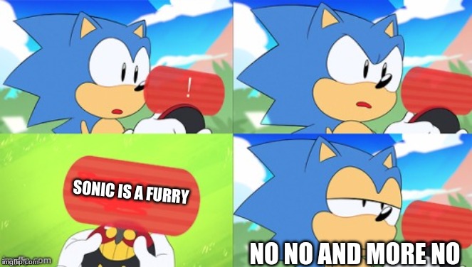 Sonic knows between the right and wrong fans | SONIC IS A FURRY; NO NO AND MORE NO | image tagged in the sonic mania meme | made w/ Imgflip meme maker