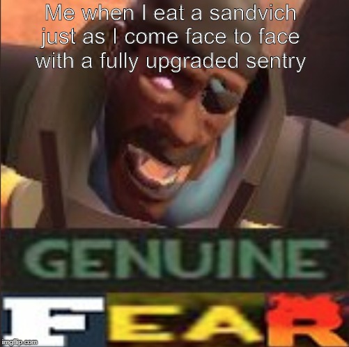 Me when I eat a sandvich just as I come face to face with a fully upgraded sentry | image tagged in relatable,memes | made w/ Imgflip meme maker