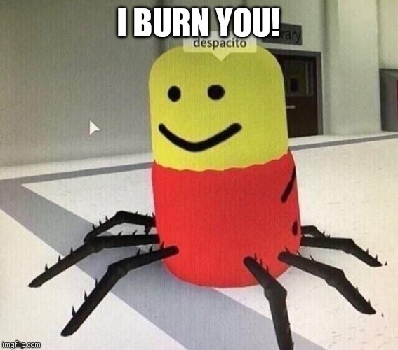 Despacito spider | I BURN YOU! | image tagged in despacito spider | made w/ Imgflip meme maker