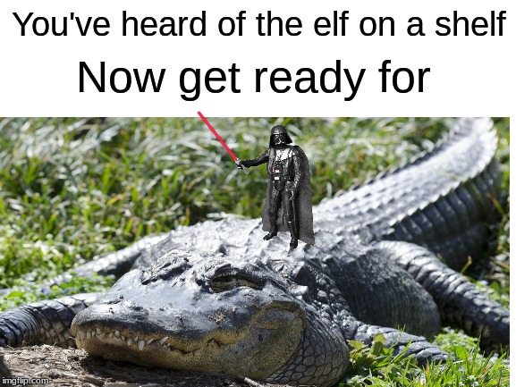 Vader on a gator | Now get ready for; You've heard of the elf on a shelf | image tagged in star wars | made w/ Imgflip meme maker