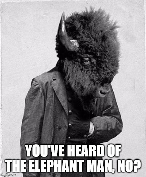 Bison Man | YOU'VE HEARD OF THE ELEPHANT MAN, NO? | image tagged in bison man | made w/ Imgflip meme maker