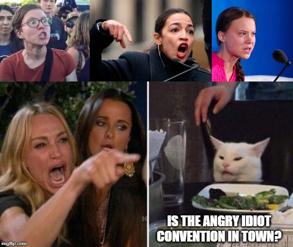 Smudge Takes on the Angry Girls Mob | IS THE ANGRY IDIOT CONVENTION IN TOWN? | image tagged in aoc,smudge the cat,greta thunberg,angry woman | made w/ Imgflip meme maker