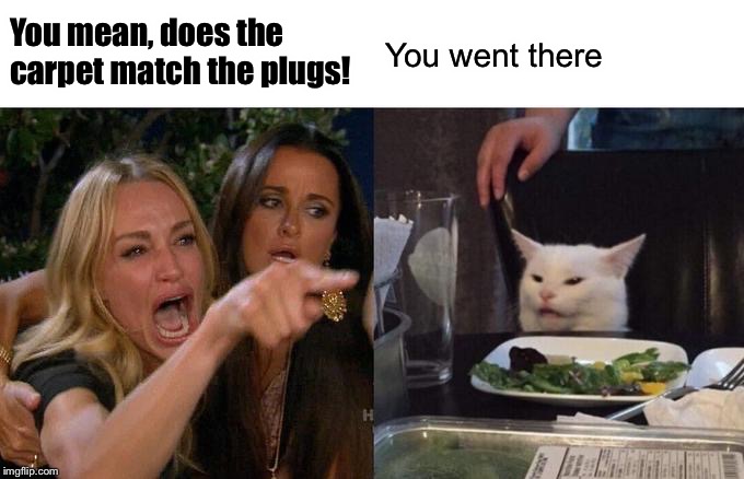 Woman Yelling At Cat Meme | You mean, does the carpet match the plugs! You went there | image tagged in memes,woman yelling at cat | made w/ Imgflip meme maker