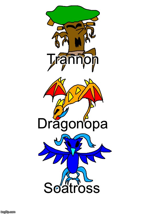 And now... the final evolutions! | Trannon; Dragonopa; Soatross | image tagged in blank white template | made w/ Imgflip meme maker
