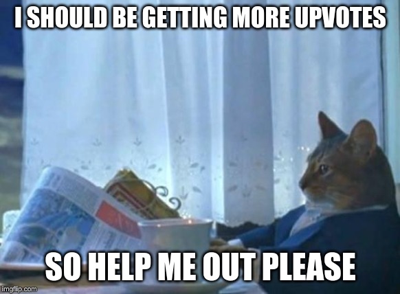 Cat newspaper | I SHOULD BE GETTING MORE UPVOTES; SO HELP ME OUT PLEASE | image tagged in cat newspaper | made w/ Imgflip meme maker