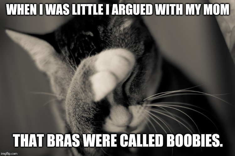 It was a huge fight. | WHEN I WAS LITTLE I ARGUED WITH MY MOM; THAT BRAS WERE CALLED BOOBIES. | image tagged in facepalm cat,bra,boobies | made w/ Imgflip meme maker