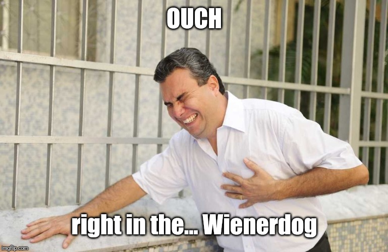 ouch | OUCH right in the... Wienerdog | image tagged in ouch | made w/ Imgflip meme maker