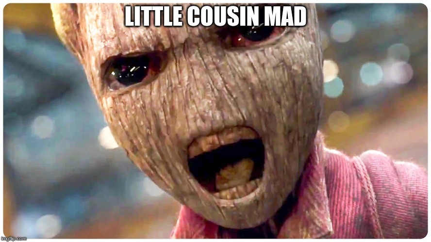 Baby groot angry | LITTLE COUSIN MAD | image tagged in baby groot angry | made w/ Imgflip meme maker