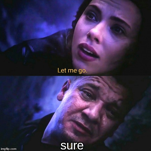 Let me go, No | sure | image tagged in let me go no | made w/ Imgflip meme maker