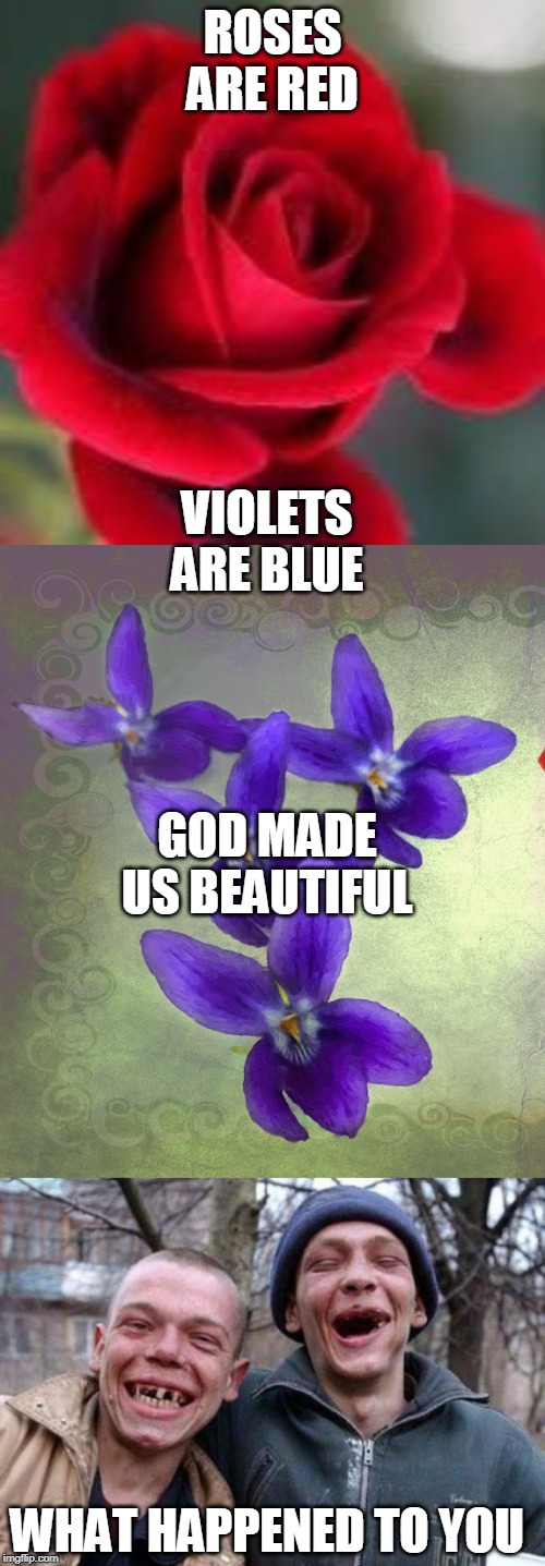 ROSES ARE RED; VIOLETS ARE BLUE; GOD MADE US BEAUTIFUL; WHAT HAPPENED TO YOU | image tagged in memes,ugly twins,roses are many colors other than red violets are fricken violet,roses are red | made w/ Imgflip meme maker