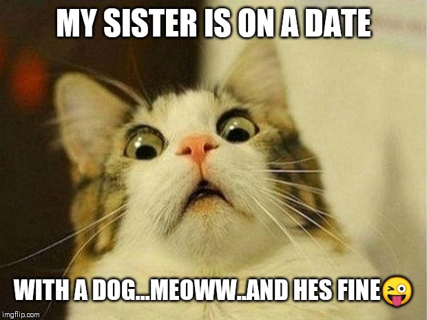 Jroc113 | MY SISTER IS ON A DATE; WITH A DOG...MEOWW..AND HES FINE😜 | image tagged in memes,scared cat | made w/ Imgflip meme maker