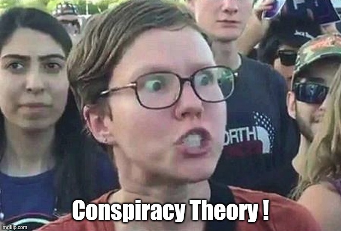 Triggered Liberal | Conspiracy Theory ! | image tagged in triggered liberal | made w/ Imgflip meme maker