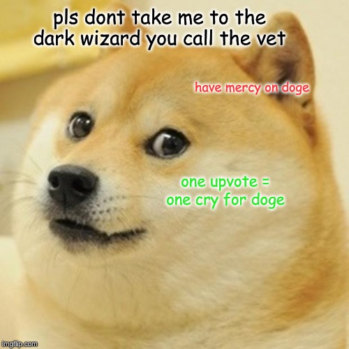 Doge | pls dont take me to the dark wizard you call the vet; have mercy on doge; one upvote = one cry for doge | image tagged in memes,doge | made w/ Imgflip meme maker