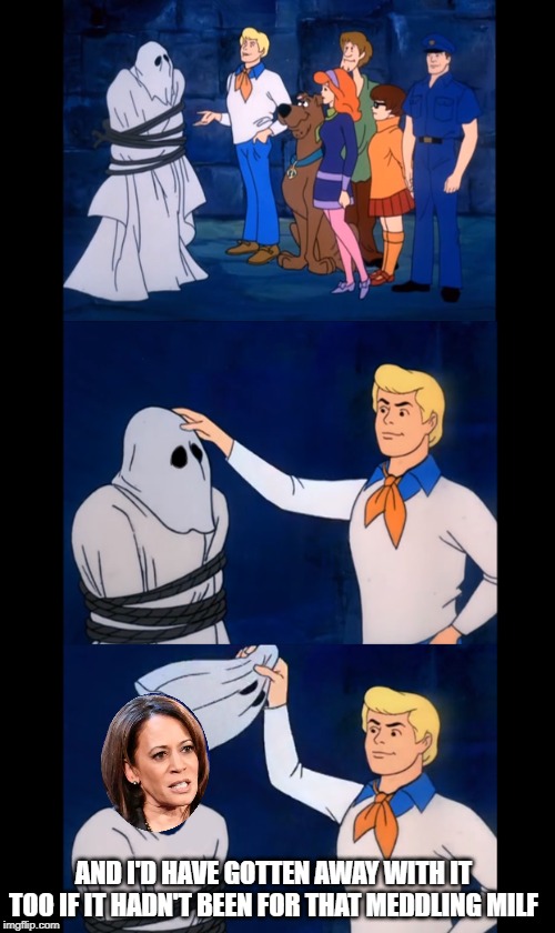 AND I'D HAVE GOTTEN AWAY WITH IT TOO IF IT HADN'T BEEN FOR THAT MEDDLING MILF | made w/ Imgflip meme maker