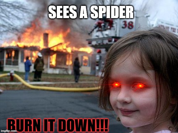 Disaster Girl | SEES A SPIDER; BURN IT DOWN!!! | image tagged in memes,disaster girl | made w/ Imgflip meme maker