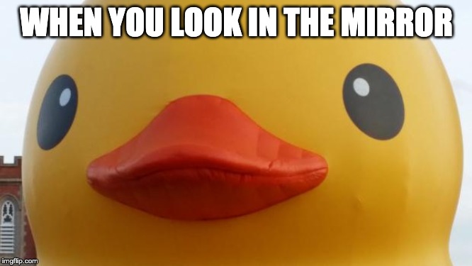 That Rubber Duck | WHEN YOU LOOK IN THE MIRROR | image tagged in that rubber duck | made w/ Imgflip meme maker