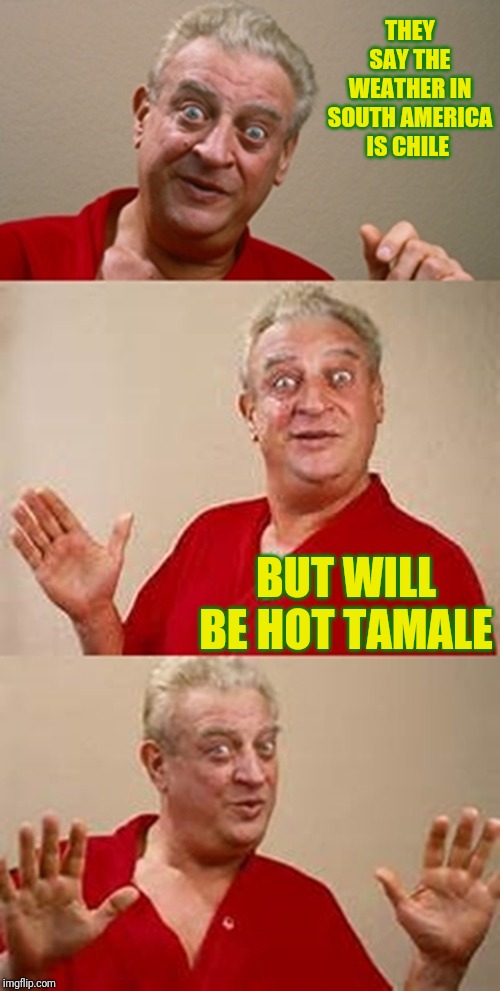 bad pun Dangerfield  | THEY SAY THE WEATHER IN SOUTH AMERICA IS CHILE; BUT WILL BE HOT TAMALE | image tagged in bad pun dangerfield | made w/ Imgflip meme maker