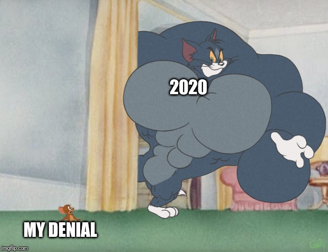 2020; MY DENIAL | image tagged in memes | made w/ Imgflip meme maker
