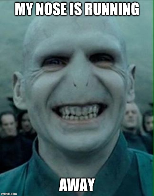 Voldemort Grin | MY NOSE IS RUNNING; AWAY | image tagged in voldemort grin | made w/ Imgflip meme maker