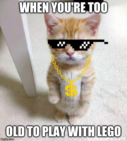 Cute Cat Meme | WHEN YOU'RE TOO; OLD TO PLAY WITH LEGO | image tagged in memes,cute cat | made w/ Imgflip meme maker