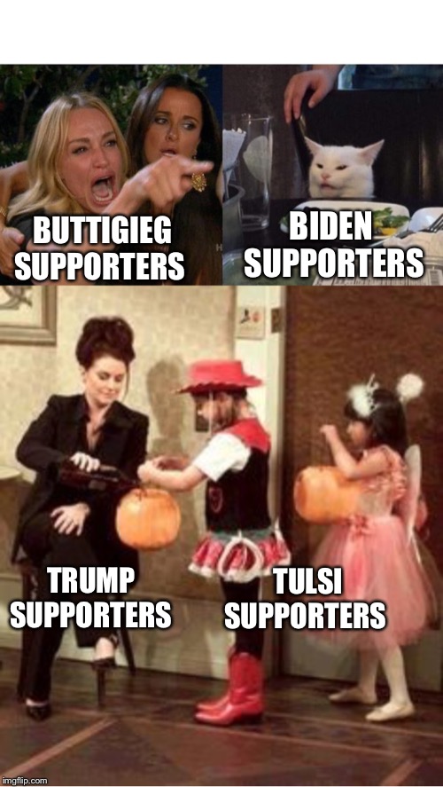 BIDEN 
SUPPORTERS; BUTTIGIEG SUPPORTERS; TRUMP 
SUPPORTERS; TULSI
SUPPORTERS | image tagged in memes,woman yelling at cat | made w/ Imgflip meme maker