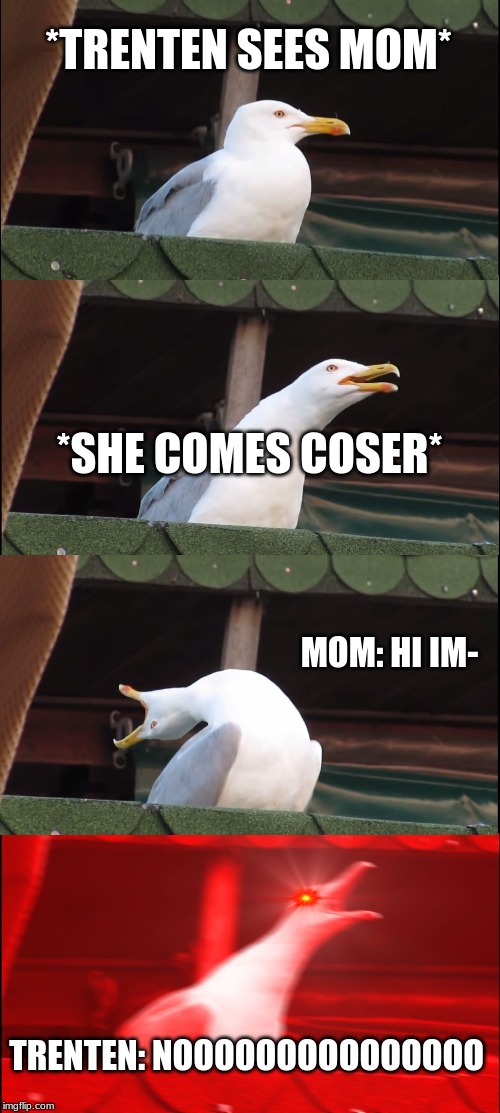 Inhaling Seagull Meme | *TRENTEN SEES MOM*; *SHE COMES COSER*; MOM: HI IM-; TRENTEN: NOOOOOOOOOOOOOOO | image tagged in memes,inhaling seagull | made w/ Imgflip meme maker