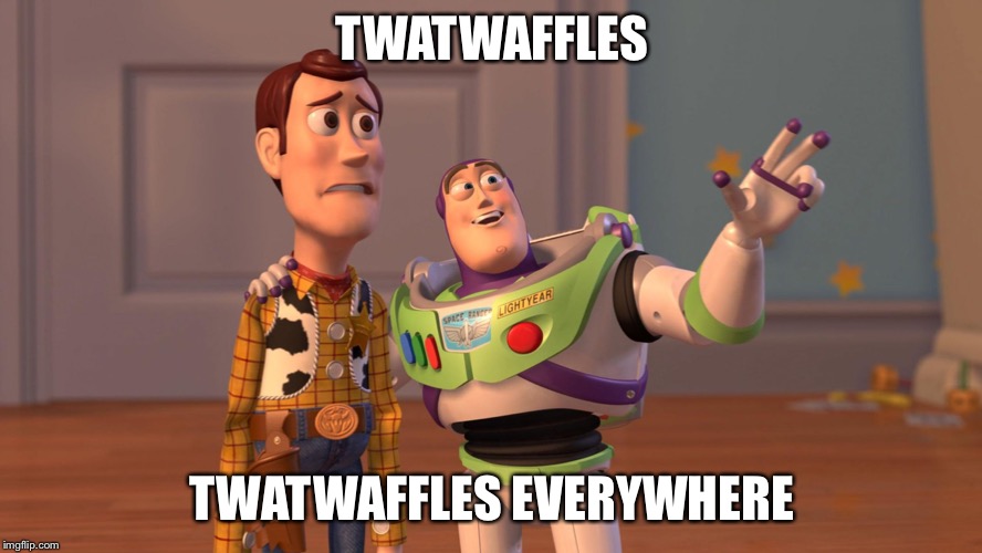Woody and Buzz Lightyear Everywhere Widescreen | TWATWAFFLES; TWATWAFFLES EVERYWHERE | image tagged in woody and buzz lightyear everywhere widescreen | made w/ Imgflip meme maker